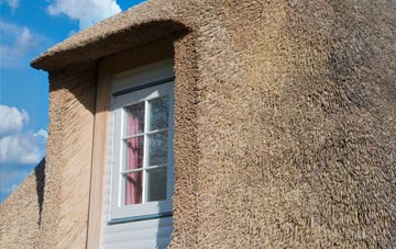 Dundee thatch roof disadvantages
