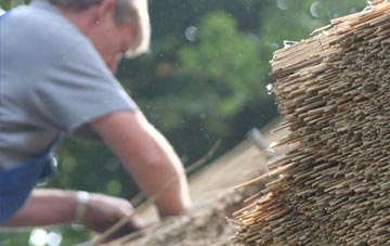 professional Dundee thatchers